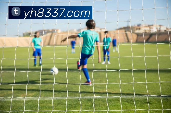 App Interface Preview